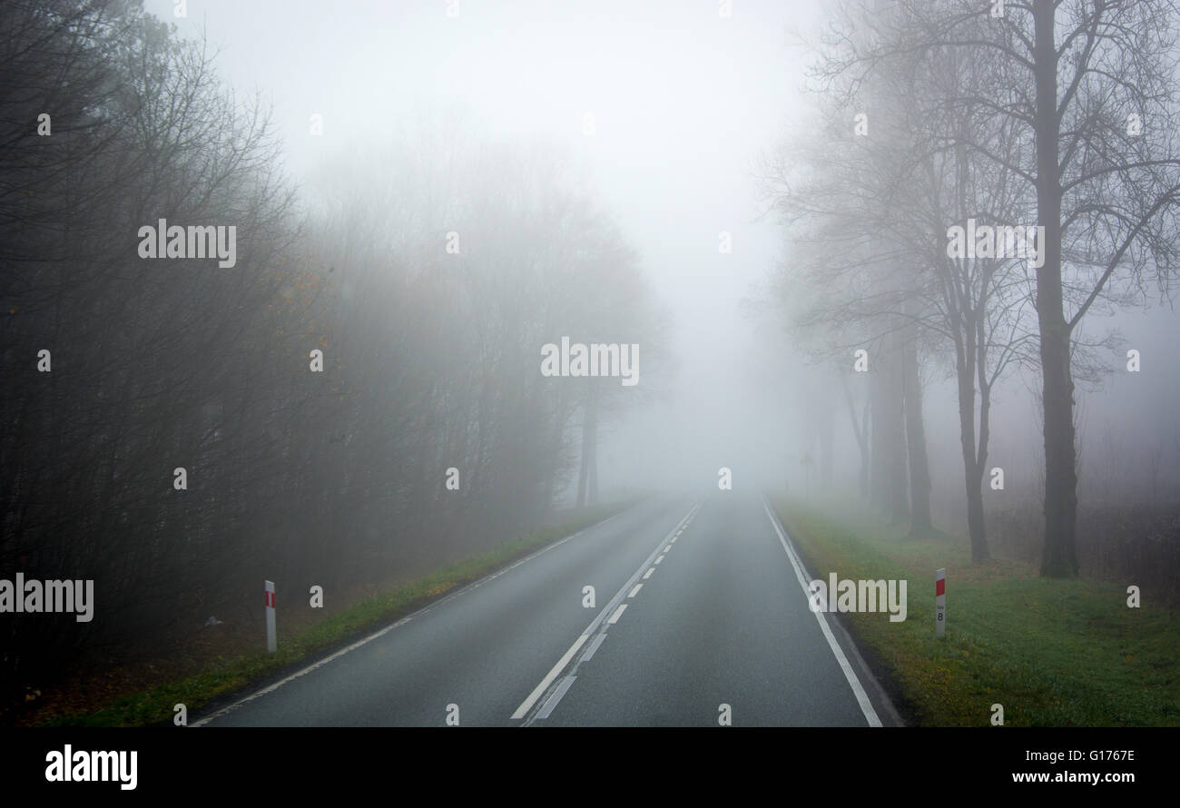 Misty morning asphalt road through the forest in autumn Stock Photo - Alamy