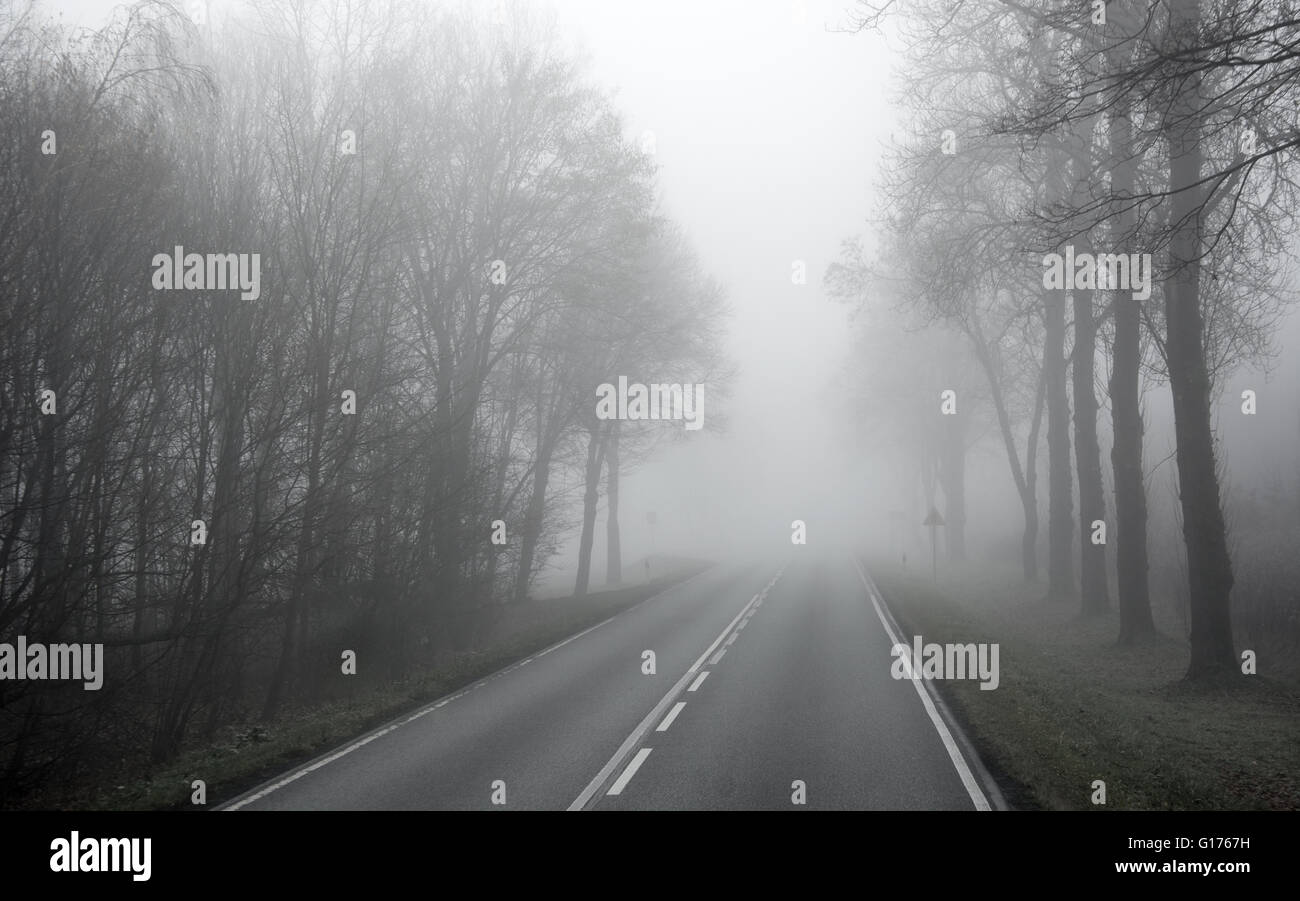 Misty morning asphalt road through the forest in autumn Stock Photo - Alamy