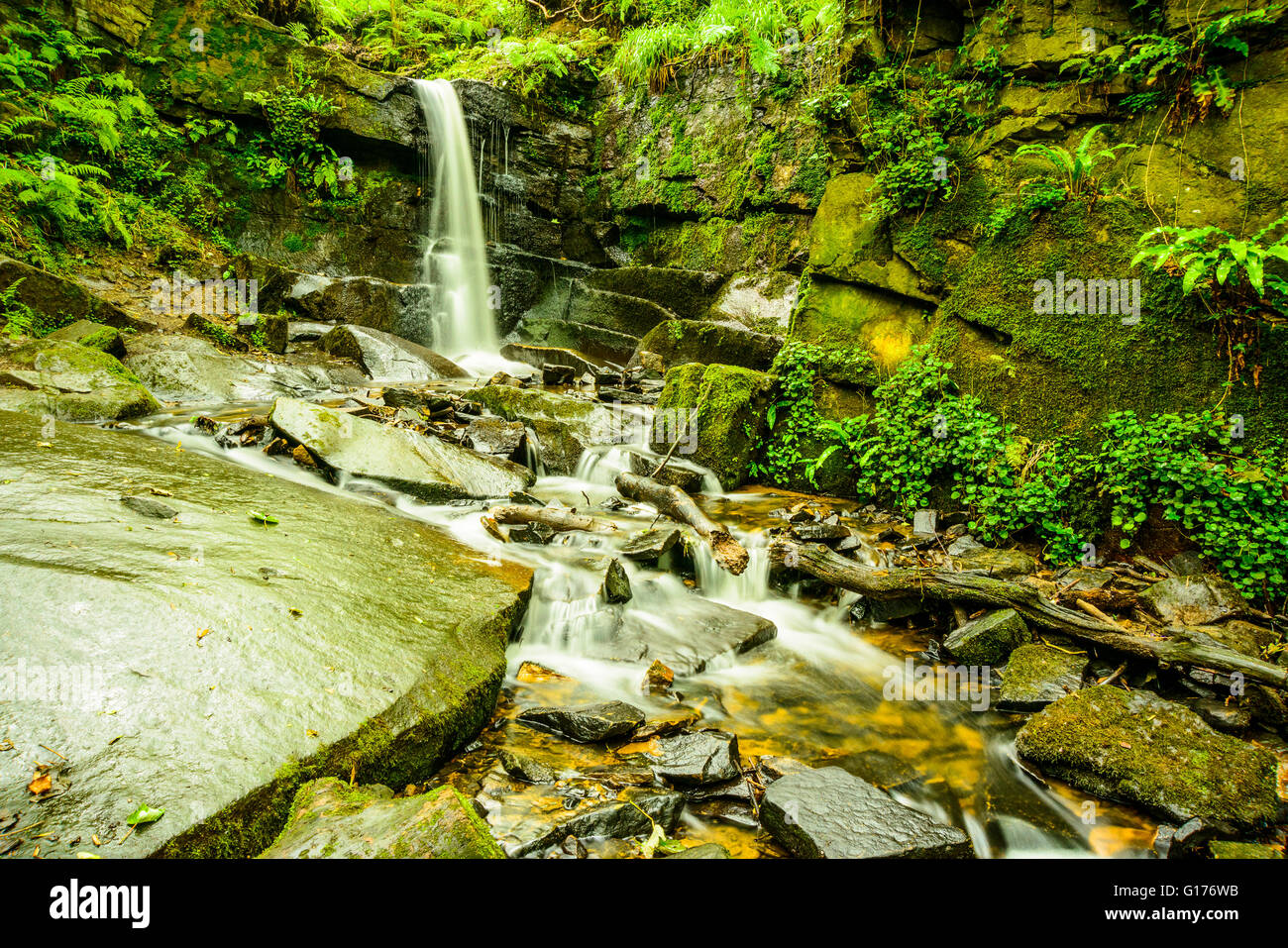 Waterfall in Fairy Glen on Sprodley Brook between Parbold and Appley Bridge Lancashire England Stock Photo