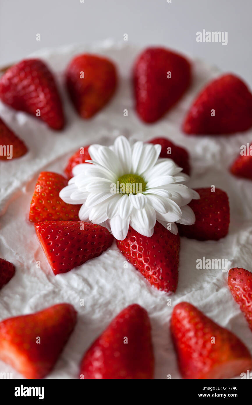 Close up of Strawberry cake with whipped coconut cream and topped with fresh strawberries Stock Photo