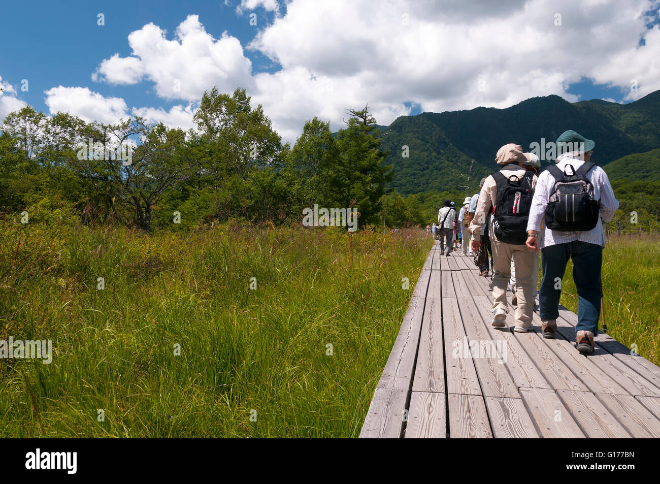 Senior tourists hiking in the natural park Stock Photo