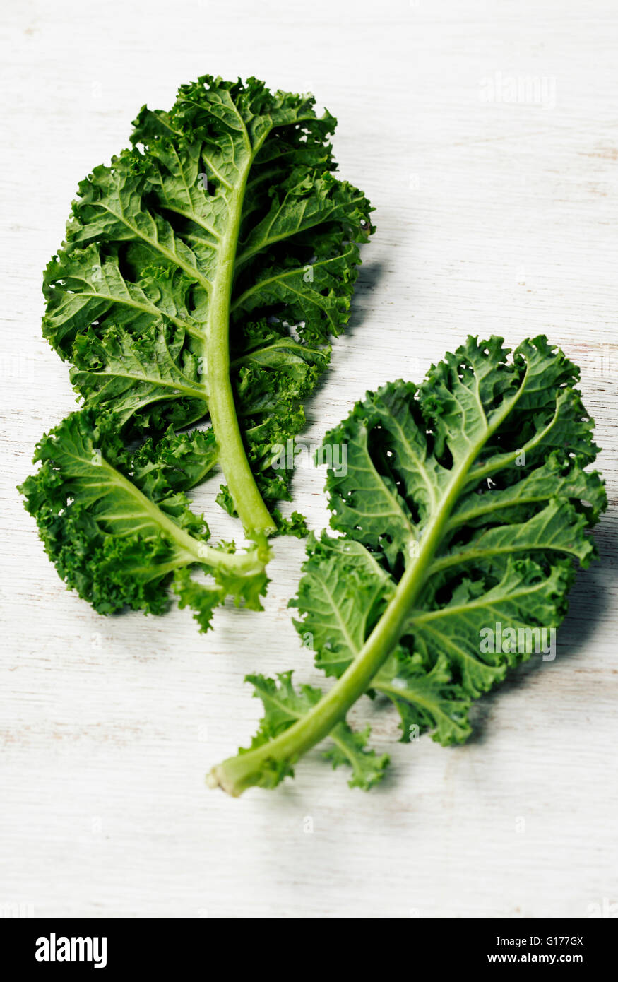 freshly harvested kale cabbage stems on a white background Stock Photo