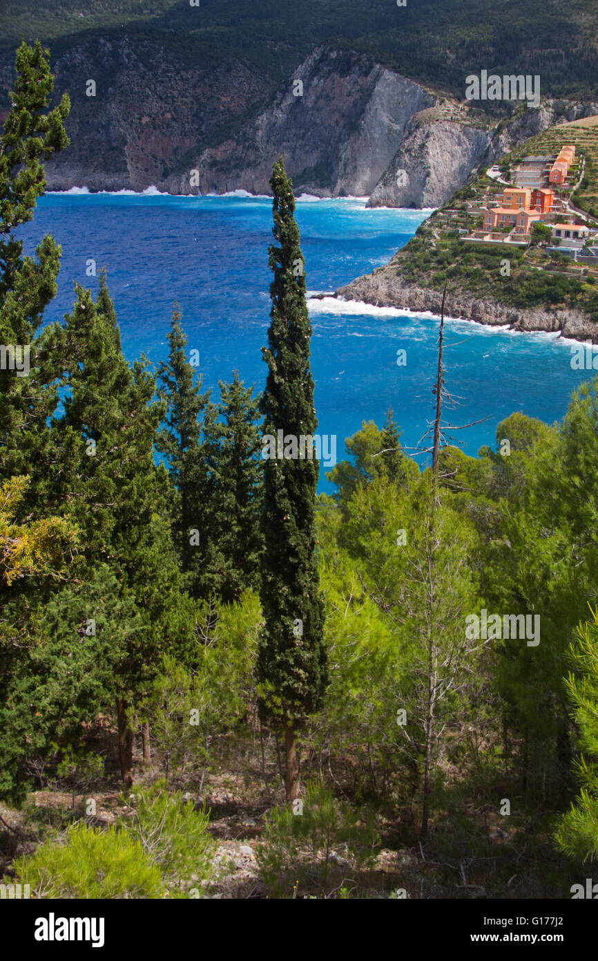 Young, slim Mediterranean cypress (Cupressus sempervirens) in a forest on the slope of a mountain. In the background Assos, a sm Stock Photo