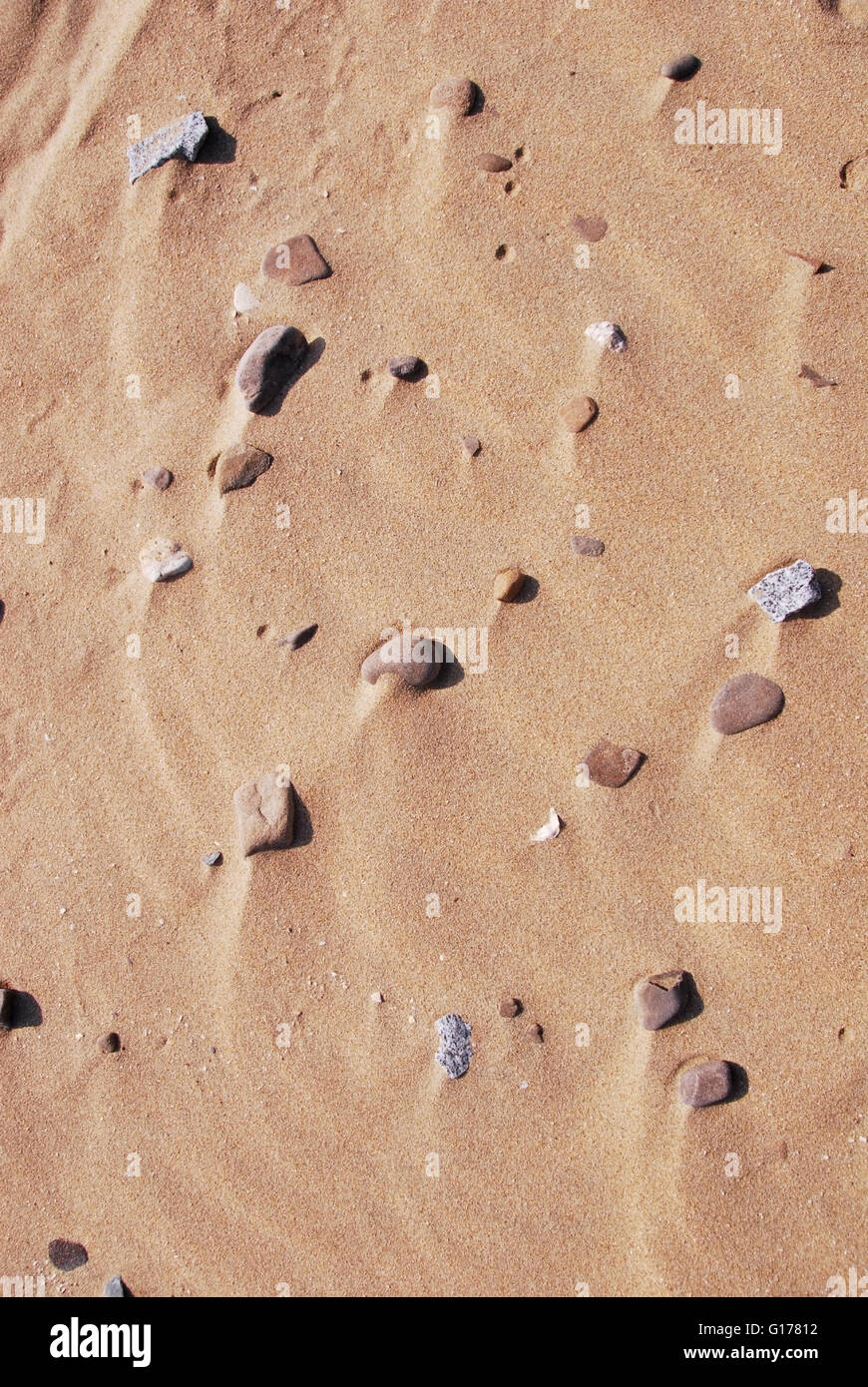 There are small stones on the brown sand of the beach Stock Photo