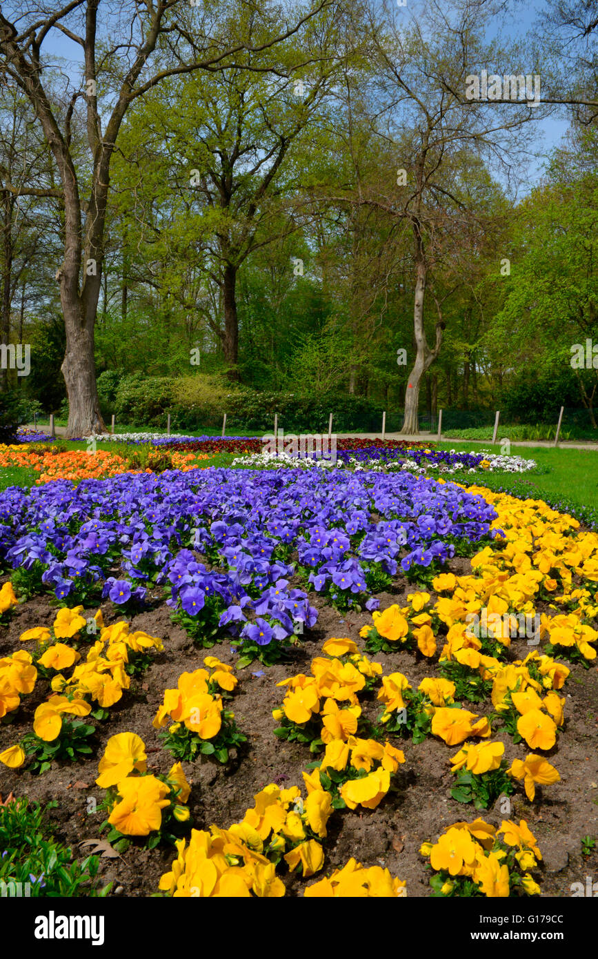 Blumenbeete, Luiseninsel, Park, Grosser Tiergarten, Tiergarten, Berlin, Deutschland Stock Photo