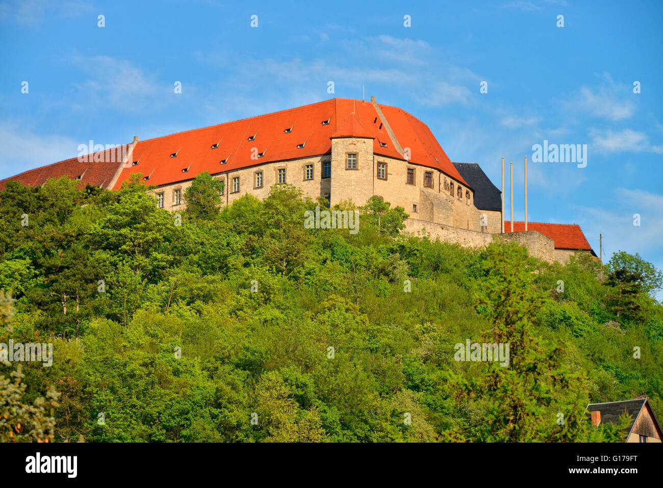 Castle neuenburg, Freyburg, Saxony-Anhalt, Germany Stock Photo