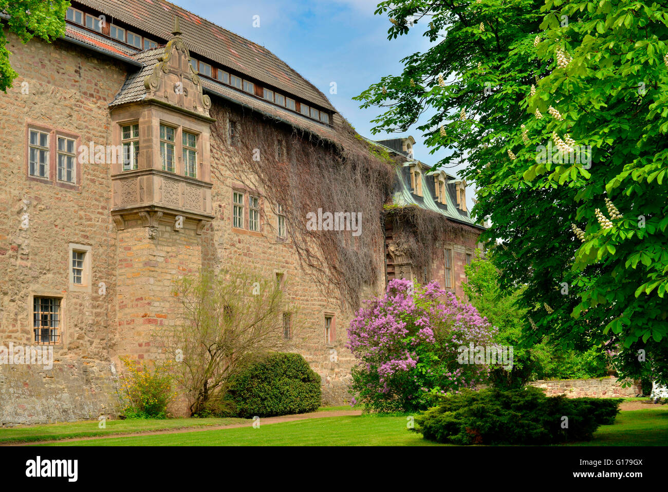 Castle Burgscheidungen, Saxony-Anhalt, Germany Stock Photo