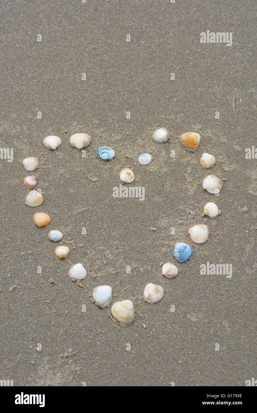 Seashells in the shape of a heart on the beach Stock Photo