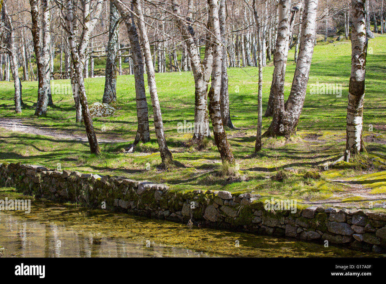 Covao d'ametade in the Serra da Estrela Natural Park. Portugal Stock ...