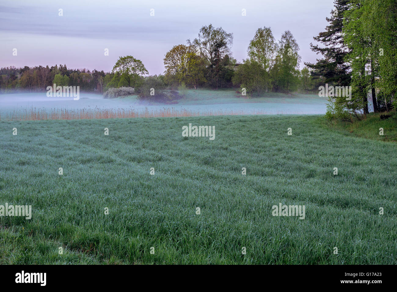 First light early morning hi-res stock photography and images - Alamy
