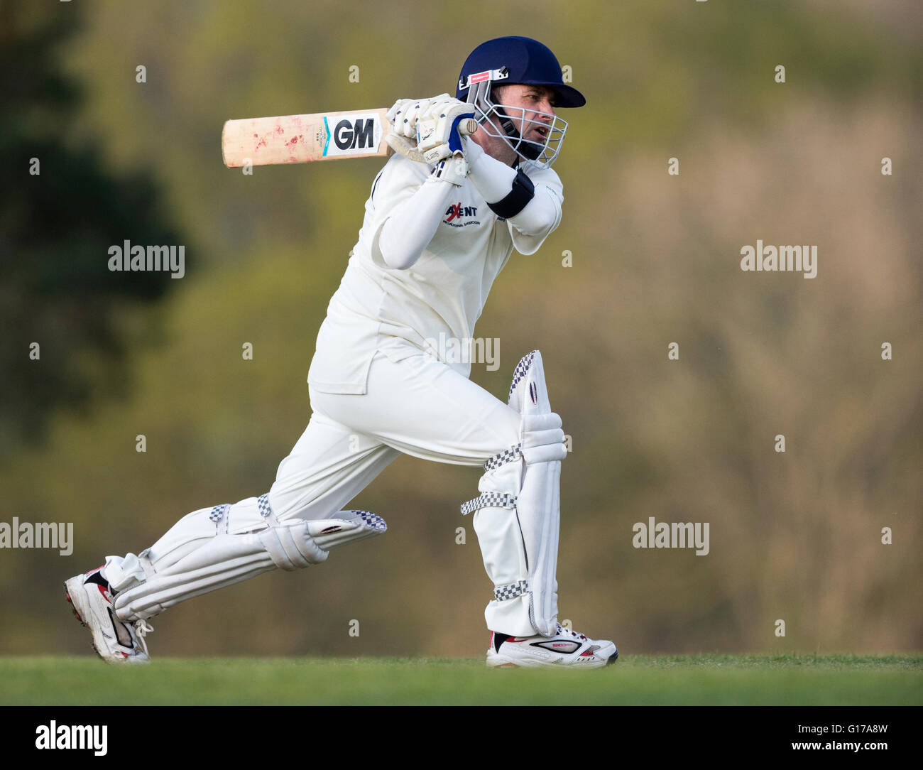 Marnhull CC 1st XI v Poole Town 2nd XI. Marnhull CC player in action batting. Stock Photo