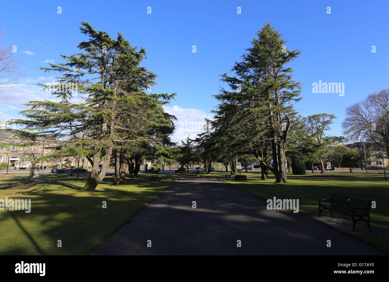 Park in Kirkcaldy Fife Scotland April 2016 Stock Photo Alamy