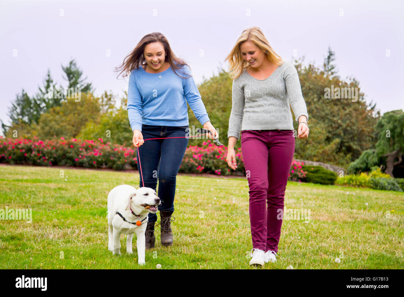 Two young women walking dog in park Stock Photo