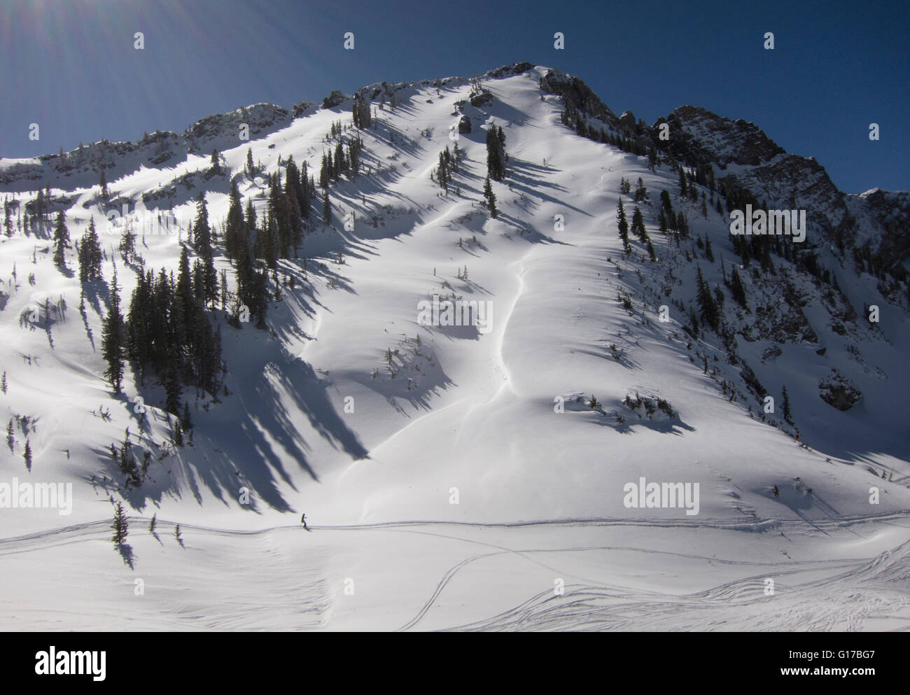 Snowy landscape, Utah, USA Stock Photo