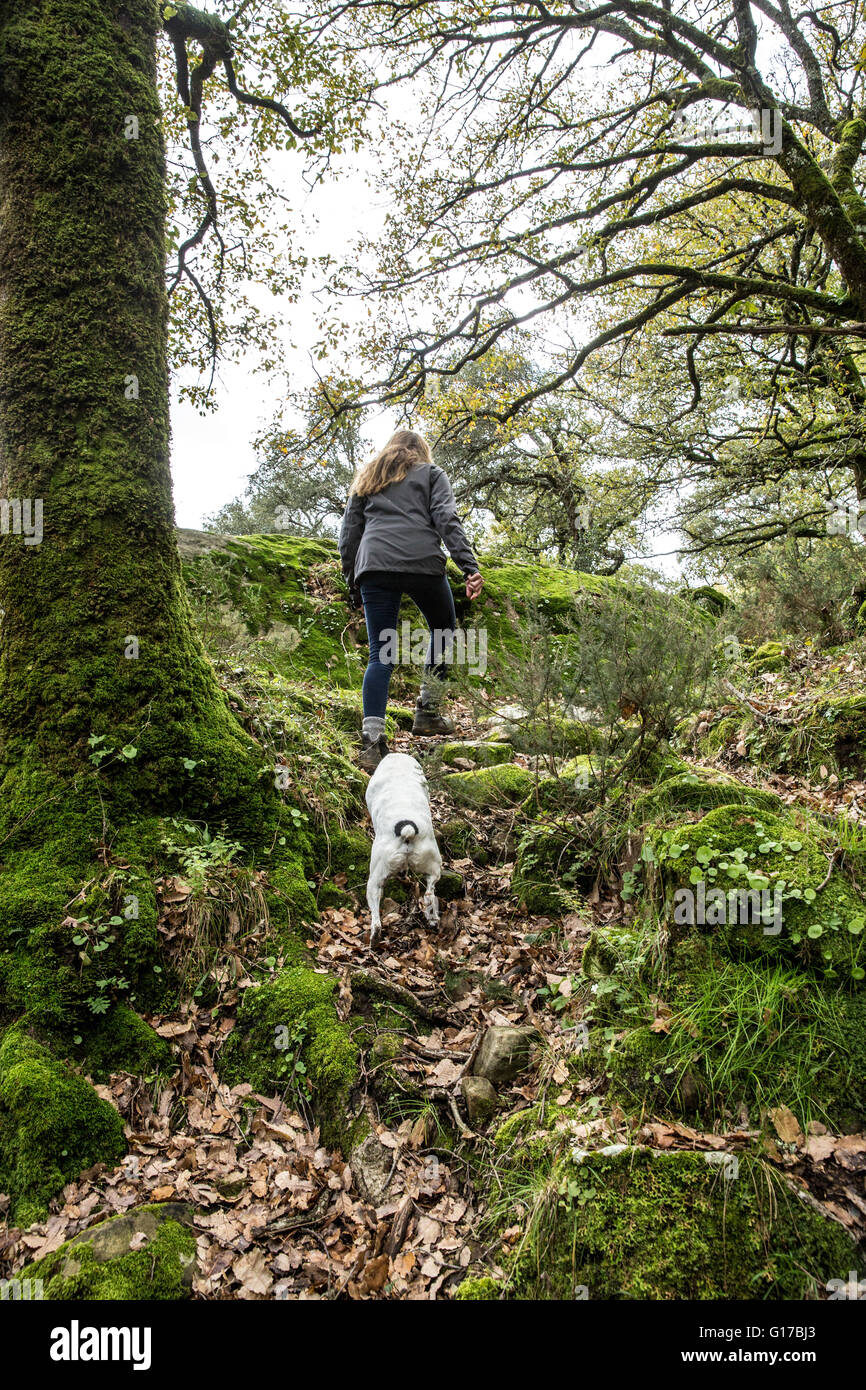 Female hiker and her dog hiking up woodland, Spain Stock Photo