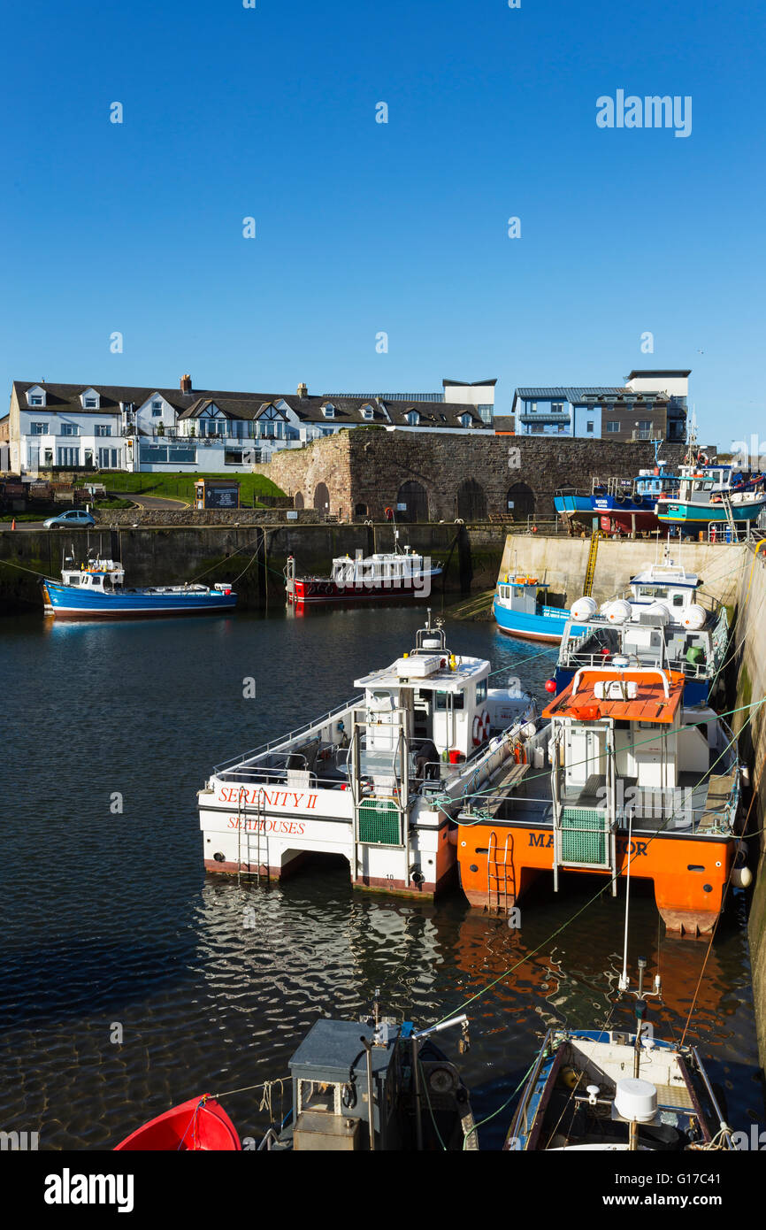 Fishing Boats at Seahouses Harbour Stock Photo - Alamy