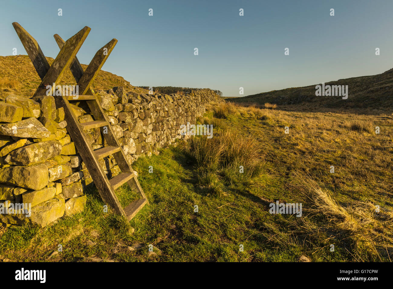 steps-across-drystone-wall-near-once-brewed-stock-photo-alamy