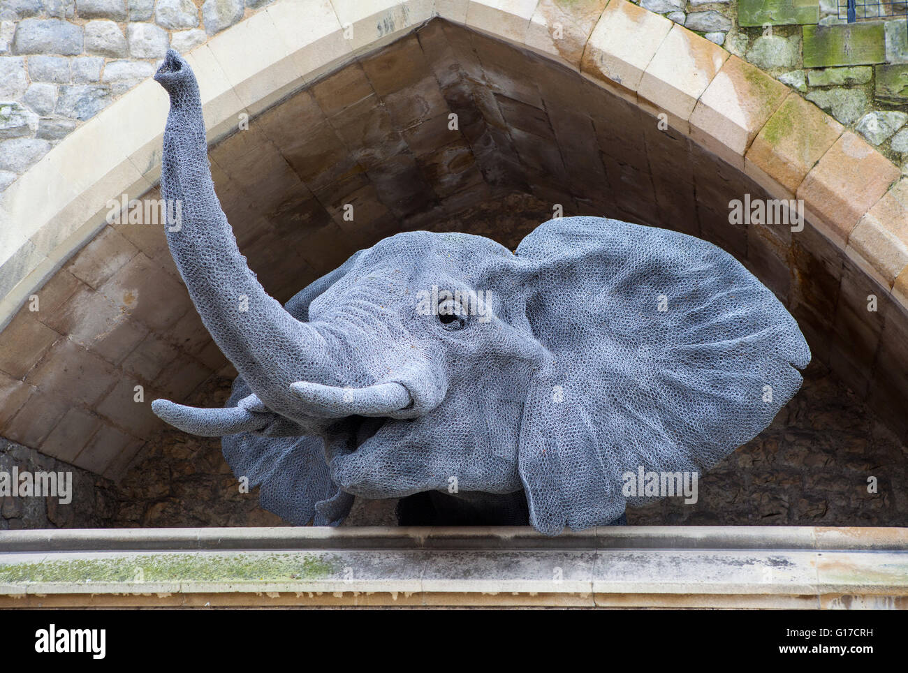 Exotic animals london landmarks hi-res stock photography and images - Alamy