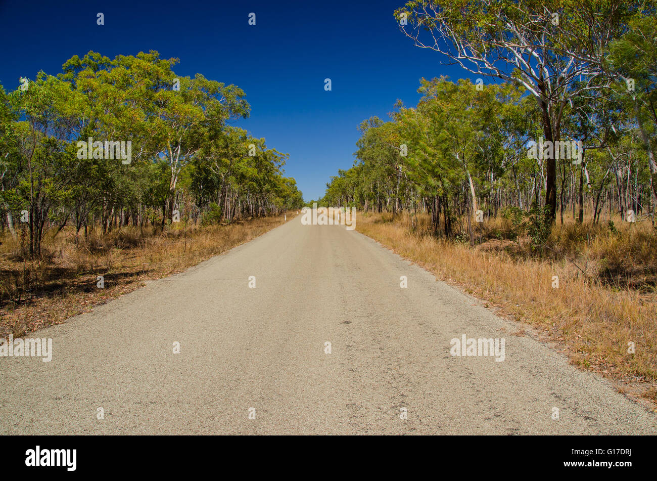 Road in the outback, Qld., Australia. Stock Photo