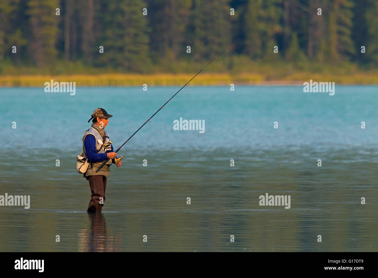 Fly angler fly fishing in lake, Banff National Park, Alberta, Rocky Mountains, Canada Stock Photo