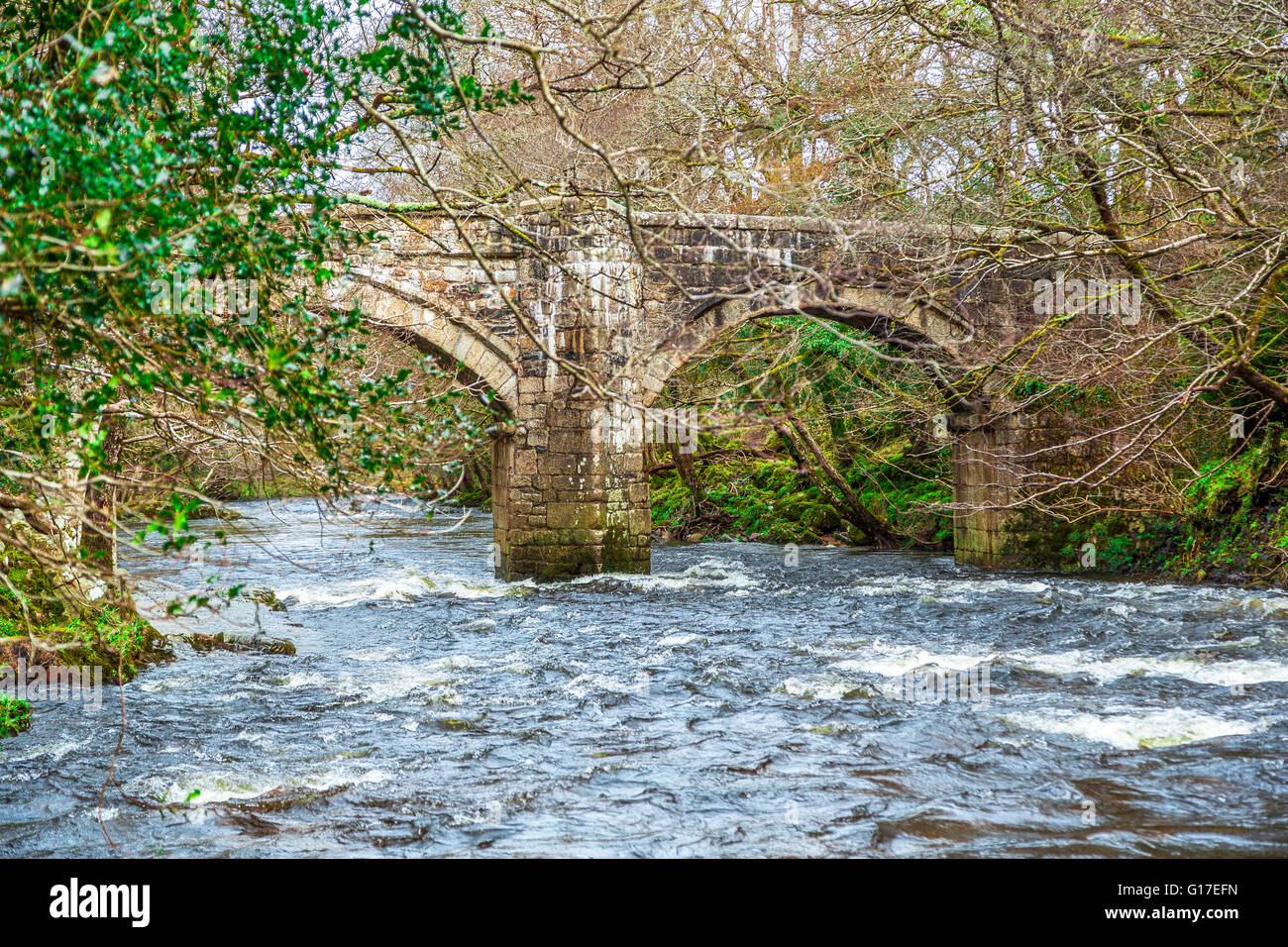 Rocks and flowing water in the River Dart in Devon, UK Stock Photo - Alamy