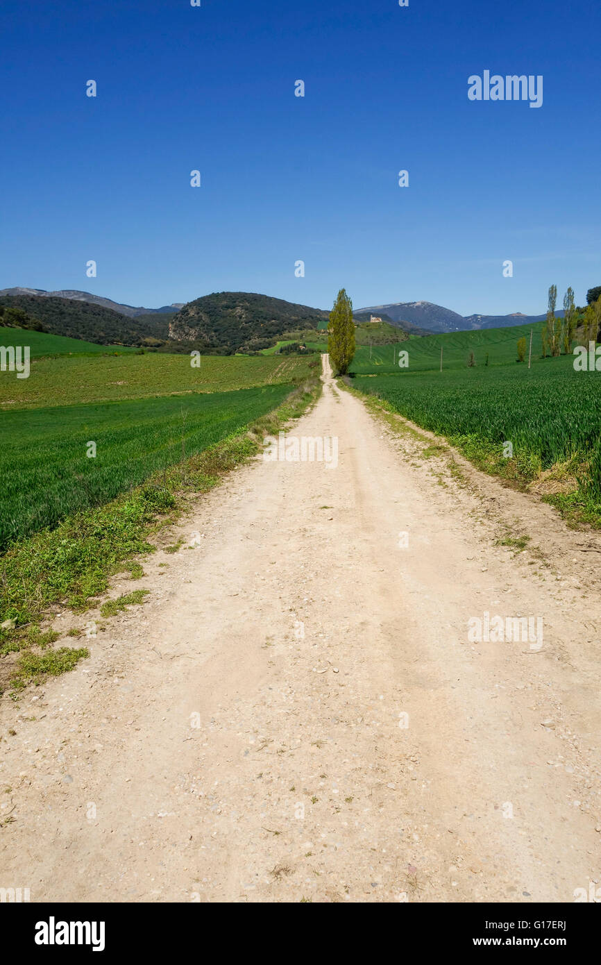 Endless dirt road through spanish countryside, flanked by farmland