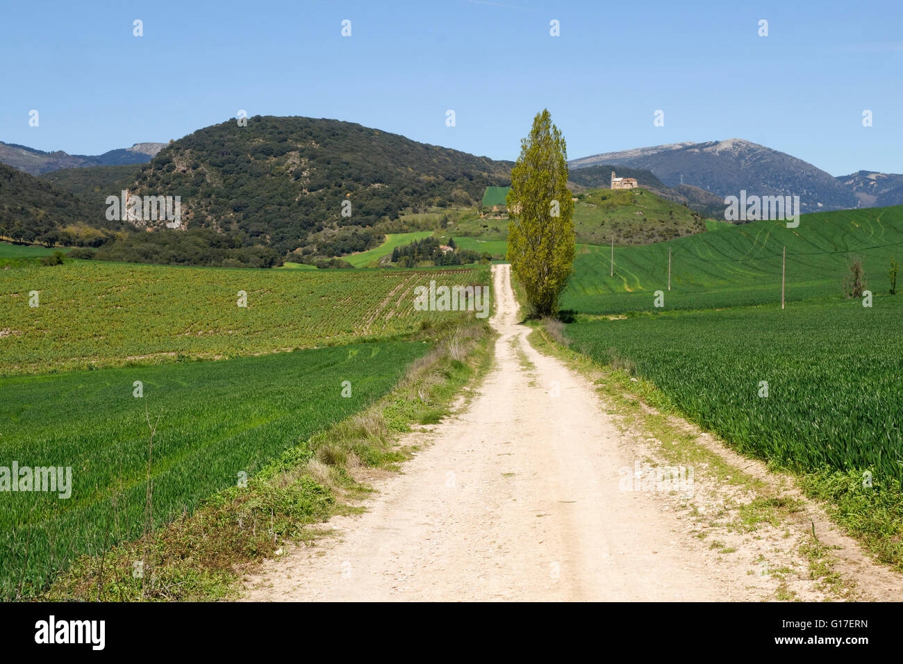 Endless dirt road through spanish countryside, flanked by farmland, lower pyrenees, Spain Stock