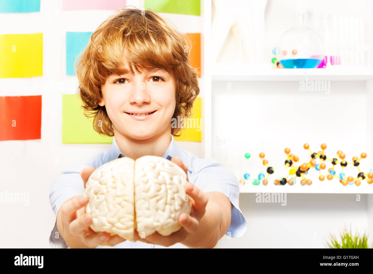 Young boy holding cerebrum model at the classroom Stock Photo
