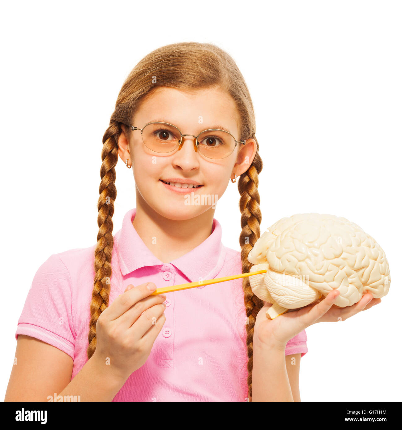 Schoolgirl in glasses holding cerebrum model Stock Photo