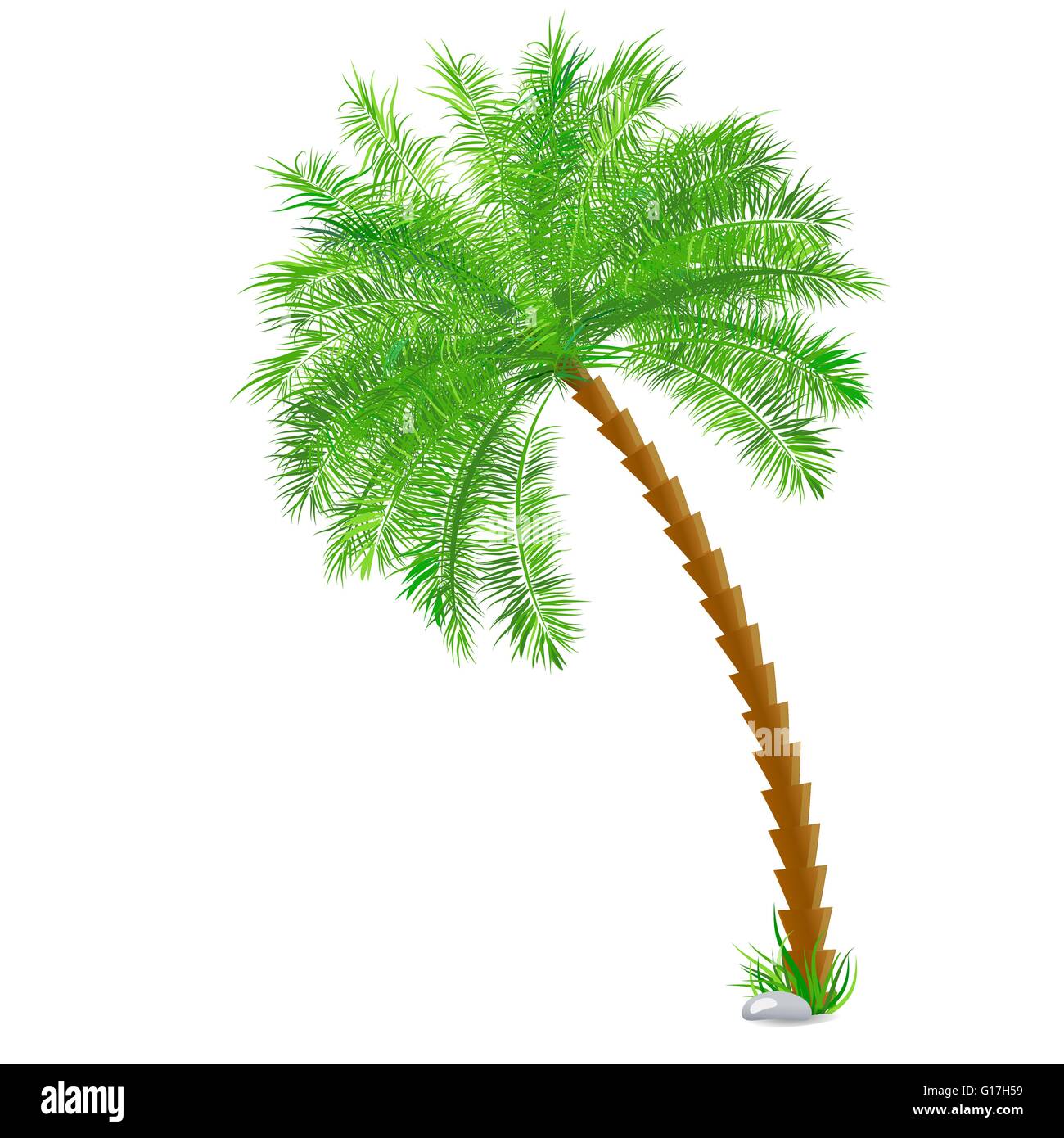 Tropical palm tree over white Stock Vector