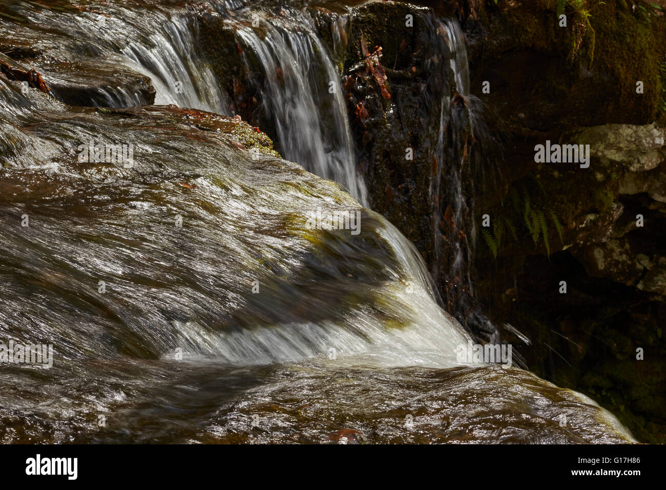 Dry Run Falls, Loyalsock State Forest, Hillsgrove, Endless Mountains