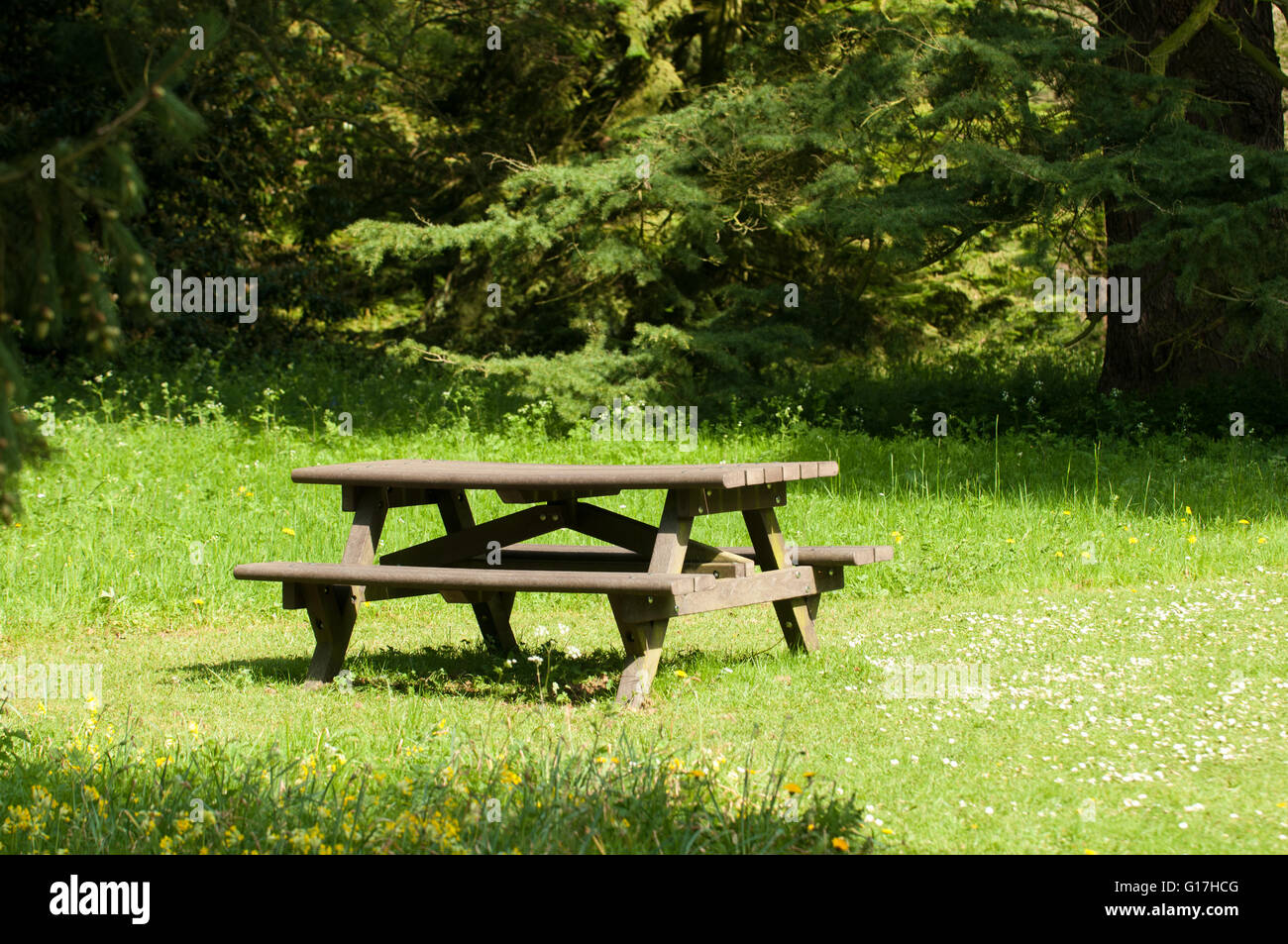 Picnic bench seating area to rest in the woodland clearing Stock Photo
