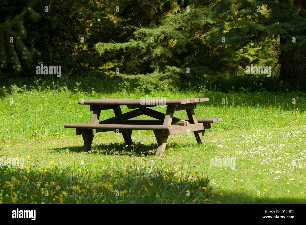 Picnic bench seating area to rest in the woodland clearing Stock Photo