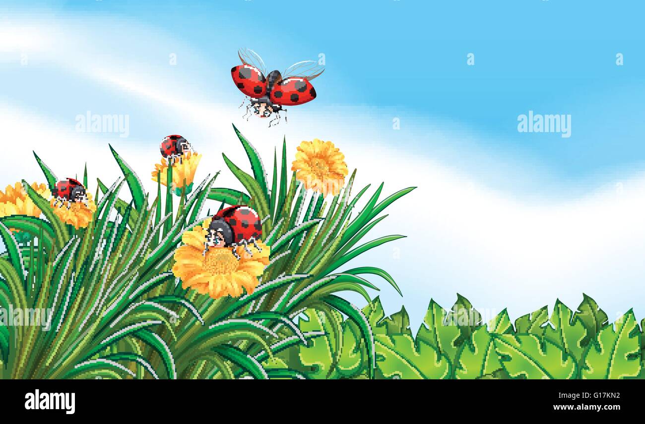 Scene with ladybugs flying in the garden illustration Stock Vector ...