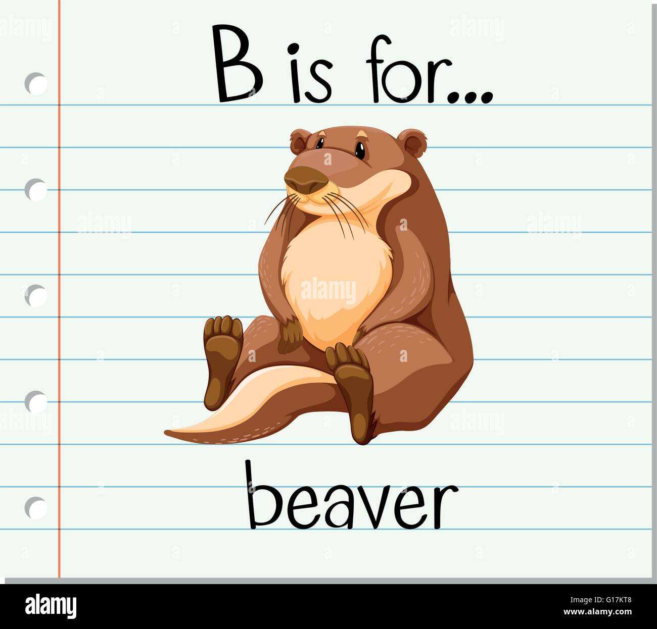 Flashcard letter B is for beaver illustration Stock Vector Image & Art ...