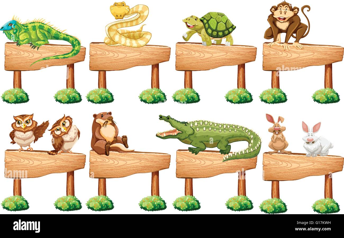 Wooden sign with different wild animals illustration Stock Vector Image ...