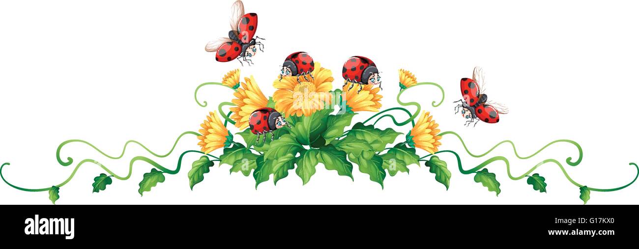 Ladybugs and yellow flowers illustration Stock Vector Image & Art - Alamy
