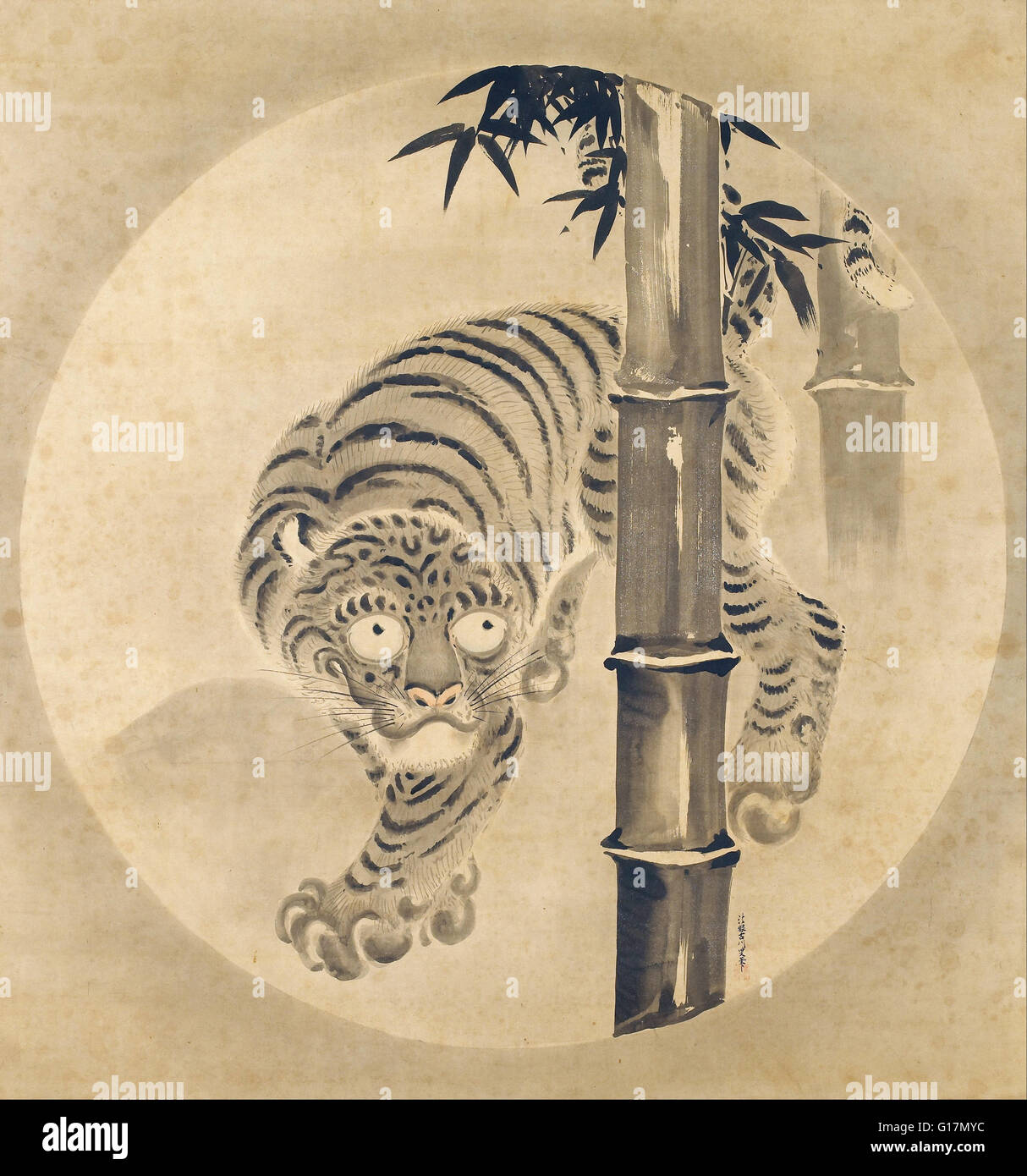 Kano Tsunenobu - Tiger Emerging from Bamboo - Minneapolis Institute of Art Stock Photo