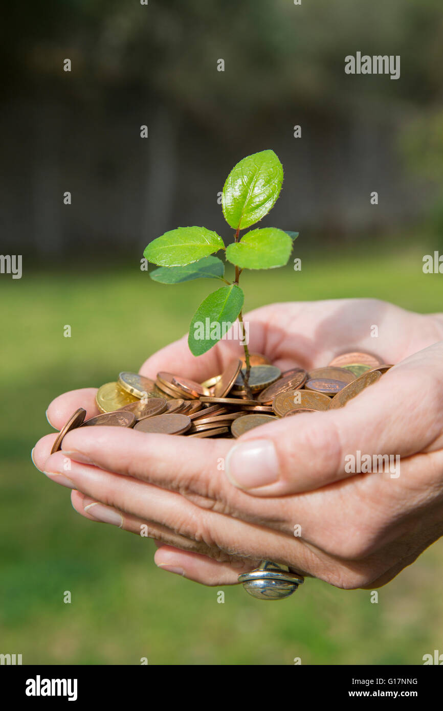 Side view of womans cupped hands holding tree seedling growing from coins Stock Photo