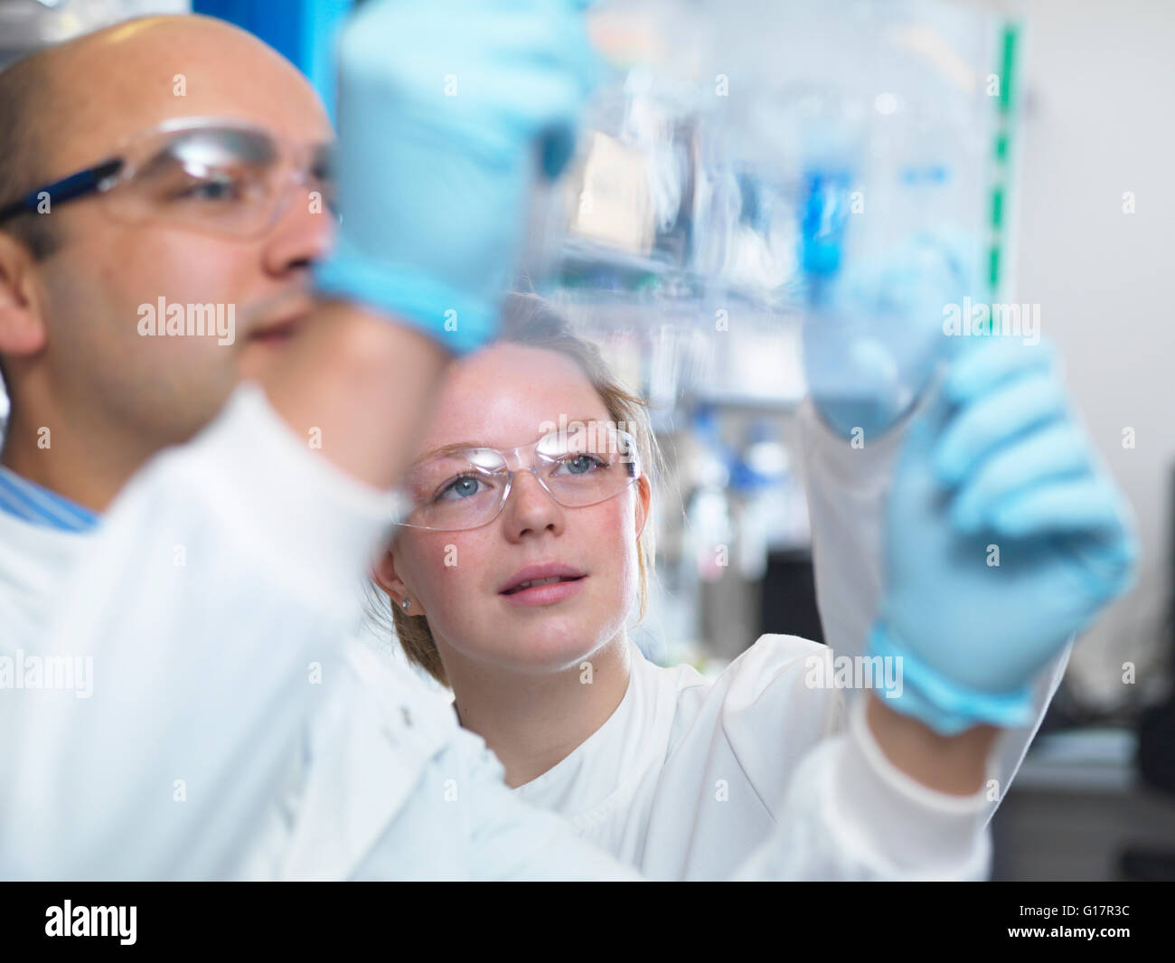 Scientists viewing a protein gel, Jenner Institute, Oxford University Stock Photo
