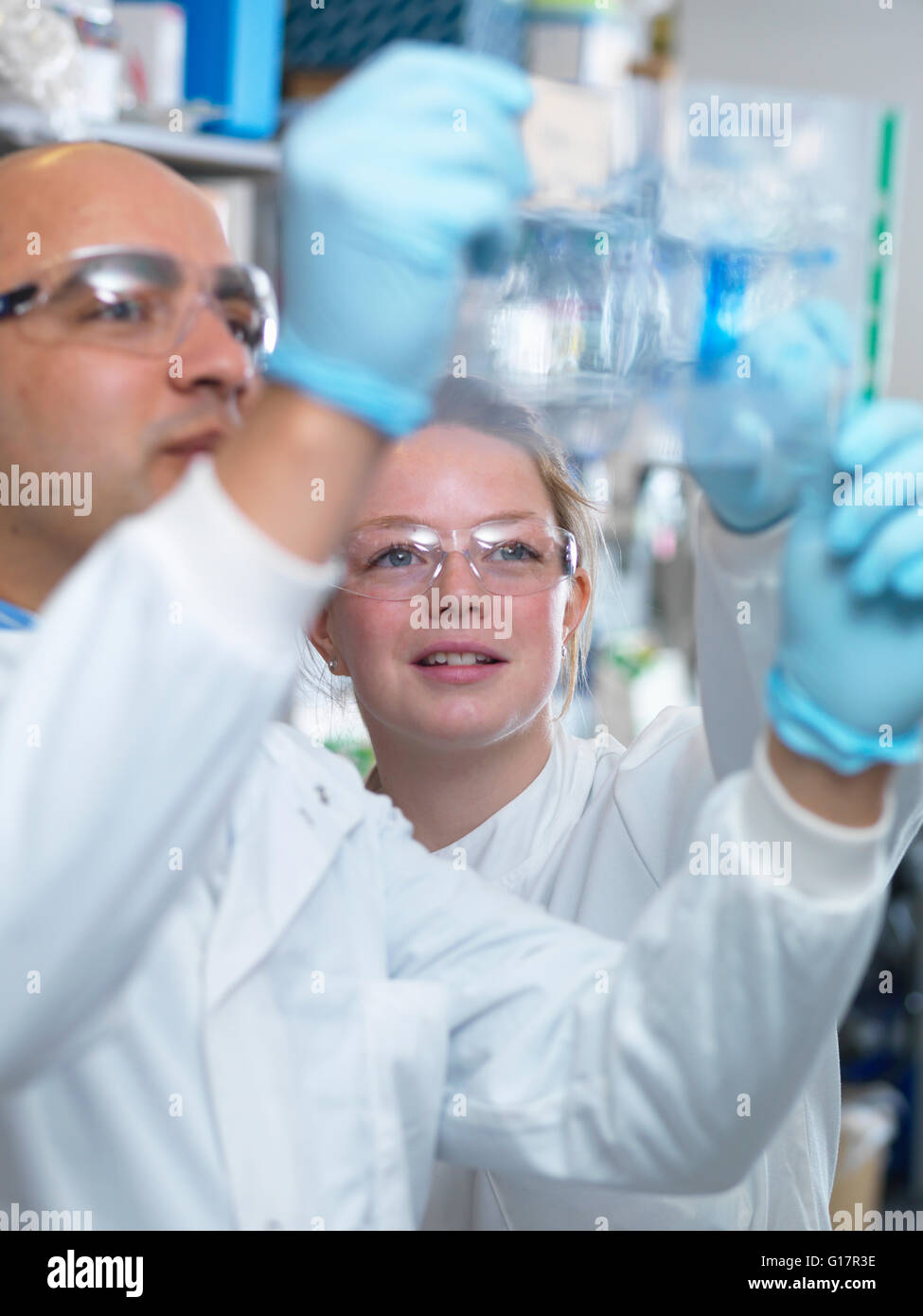Scientists viewing a protein gel, Jenner Institute, Oxford University Stock Photo