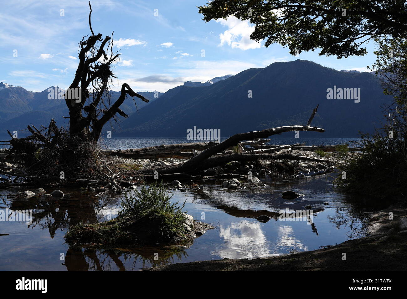 Driftwood at shore of Lago Traful, Patagonia. Andes in Background Stock Photo