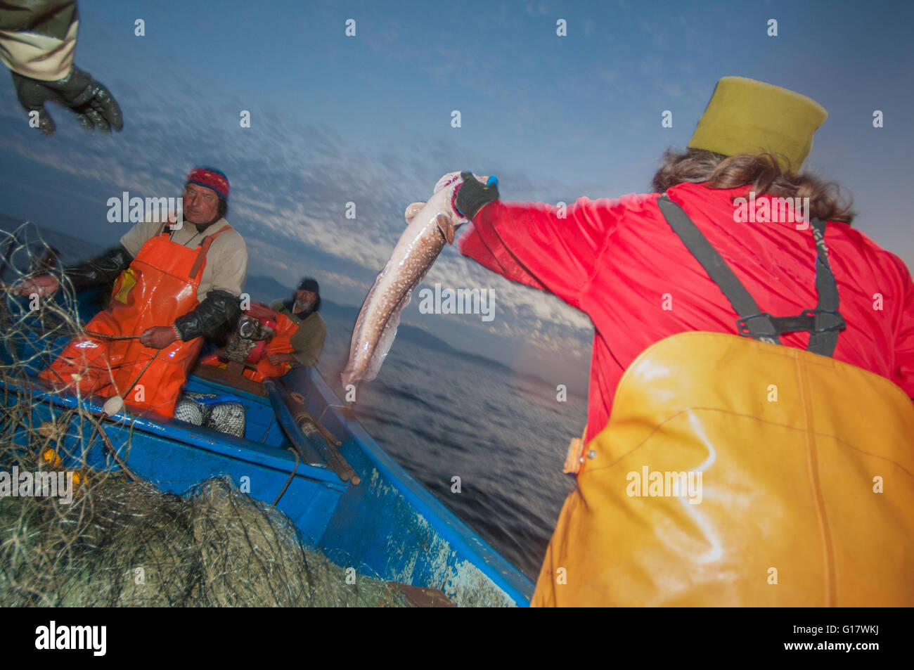 Gill Net Fishing for Conger Eel. Stock Photo