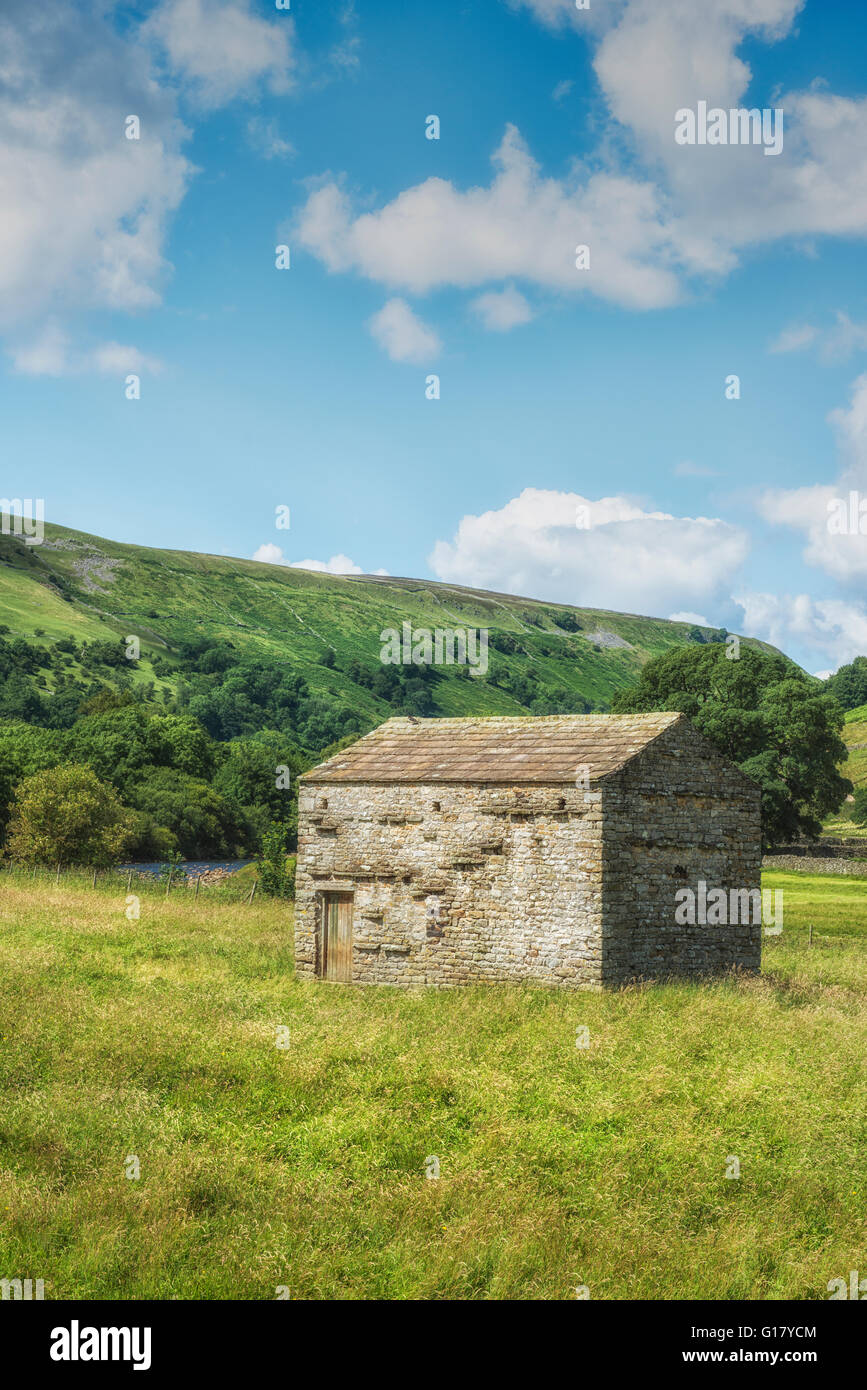 Stone barn in a field in Wensleydale, Yorkshire Dales, England, UK Stock Photo