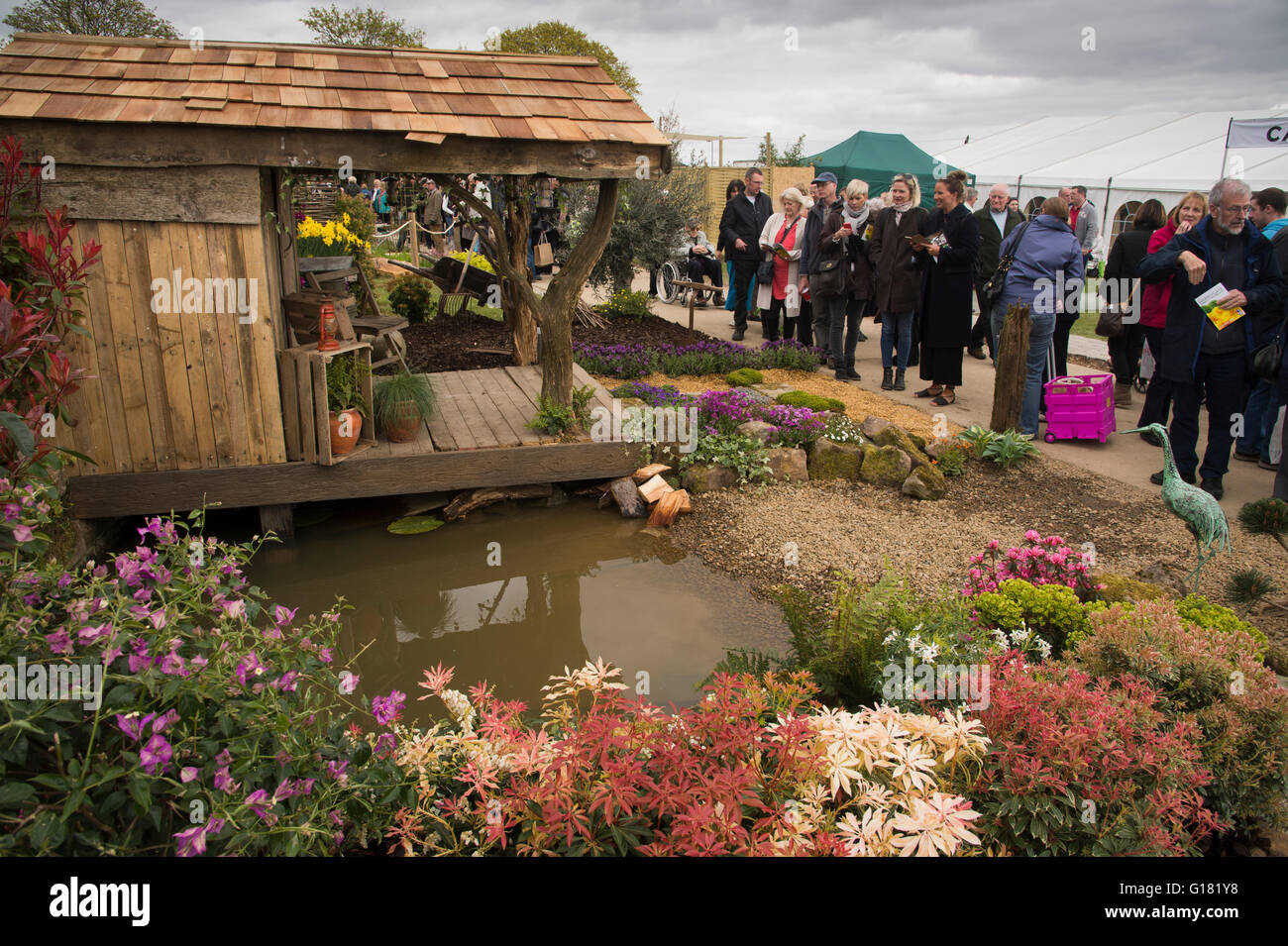 Visitors to the Harrogate Spring Flower Show 2016 (North Yorkshire, England) admire a natural show garden, 'Wildlife Paradise.' Stock Photo