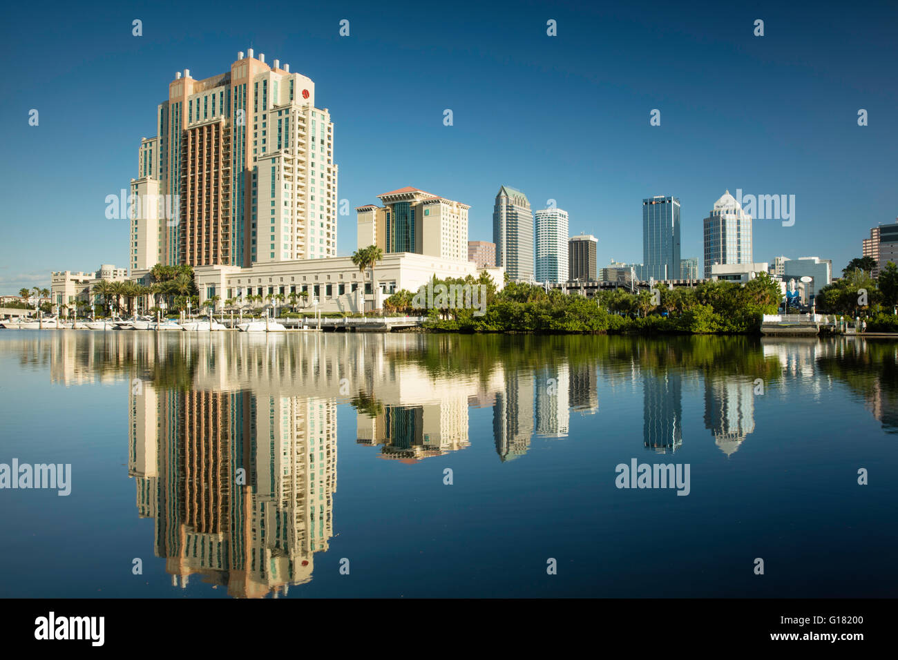 Early morning over the skyline of Tampa, Florida, USA Stock Photo