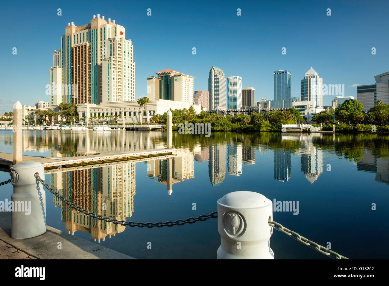 Early morning over the skyline of Tampa, Florida, USA Stock Photo