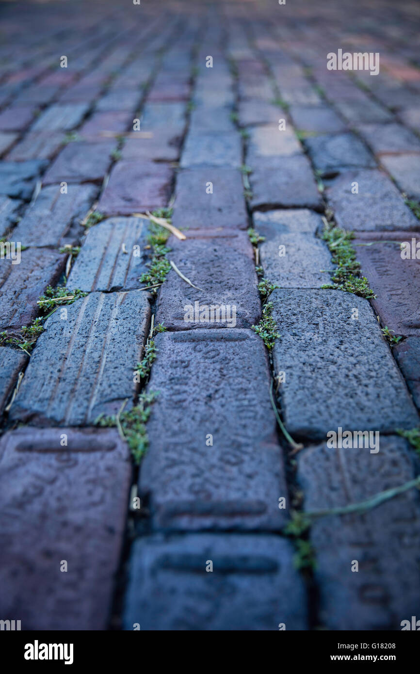 Old brick pathway Stock Photo