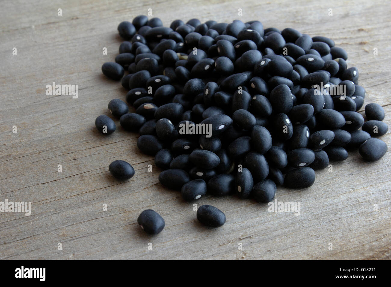 Dry black beans (Phaseolus Vulgaris Stock Photo Alamy