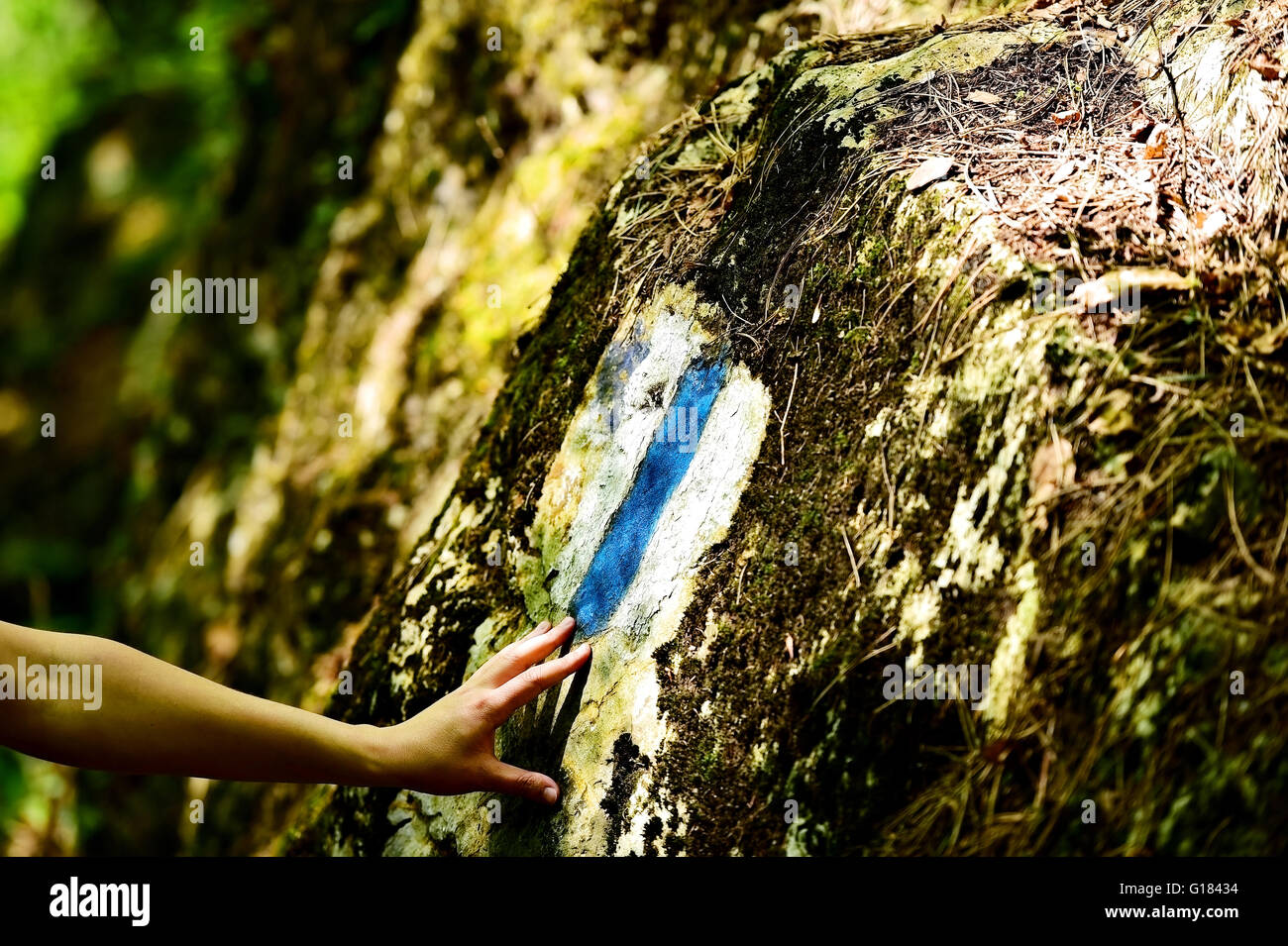 Hiking blue stripe paint marking on a rock with hiker on the trail Stock Photo